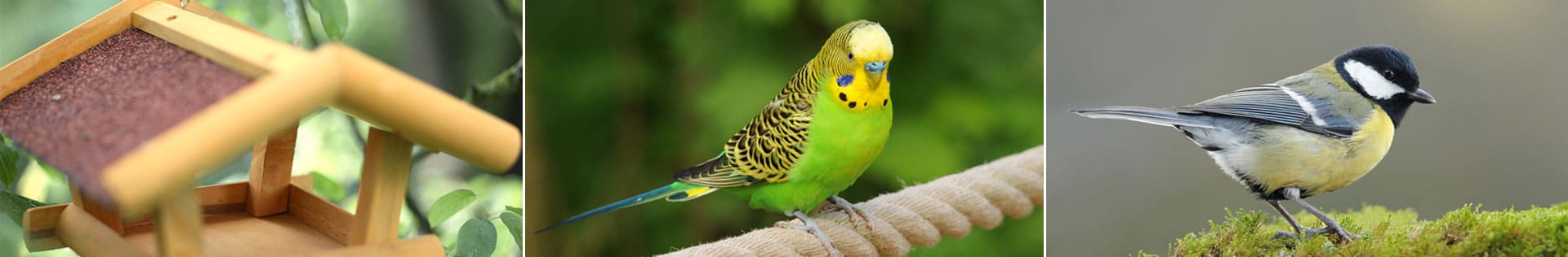 kerbl-pet-bereich-vogel Kerbl Pet - Bereich Vogel