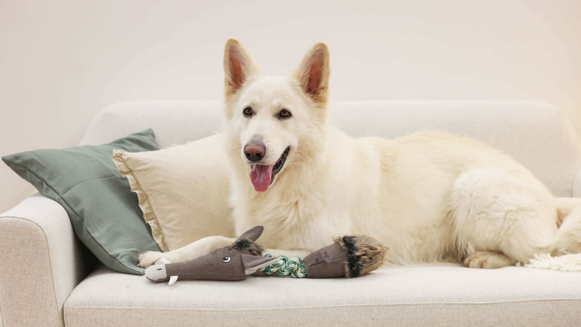 kerbl-pet-hund-slider01 kerbl pet hund slider