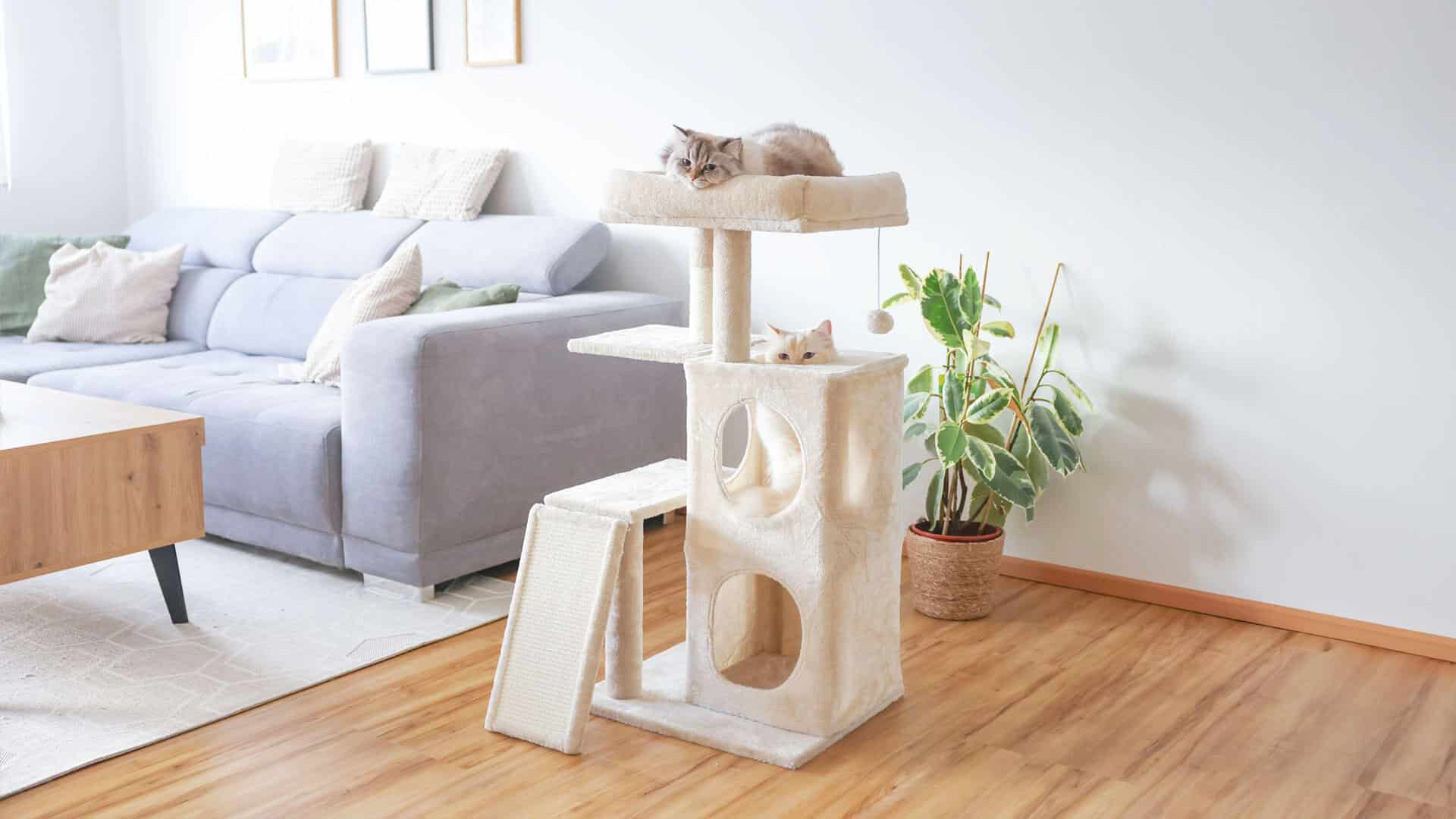 kerbl-pet-katze-slider01 Kerbl Pet Katze Slider
