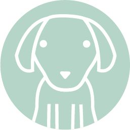 Kerbl PET Icon Dog