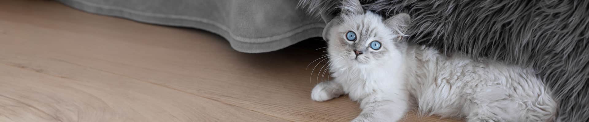 Kerbl Pet - Kategorie Katze