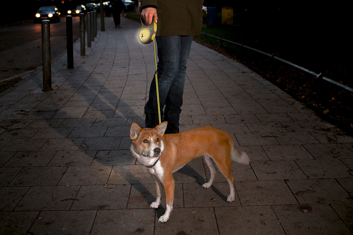 Ratgeber Hund – Flexi Leinen Ratgeber Hund - Flexi Leinen