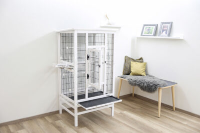 Ratgeber Vogel Käfige Ratgeber Vogel Käfige