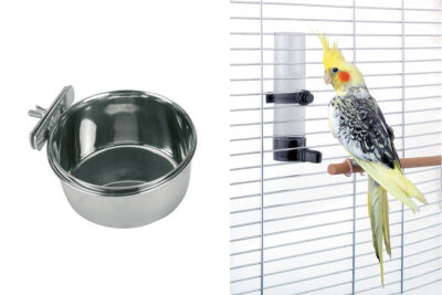 Ratgeber Vogel Tränke Ratgeber Vogel Tränke