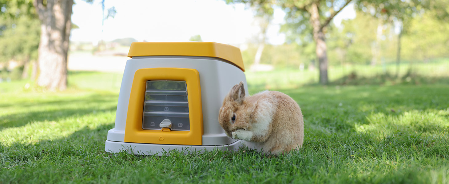 Ein Kaninchen auf einer Wiese vor Kaninchenbau BunnyBase