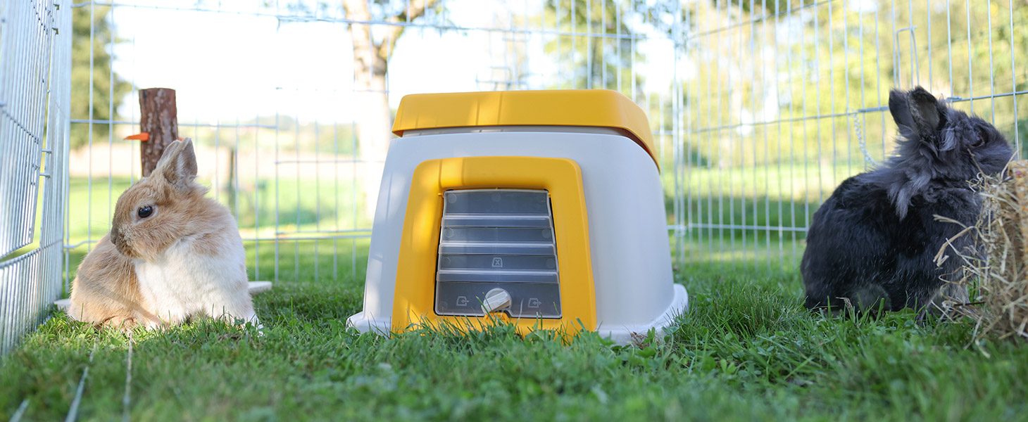 2 Kaninchen auf einer Wiese vor Kaninchenbau BunnyBase