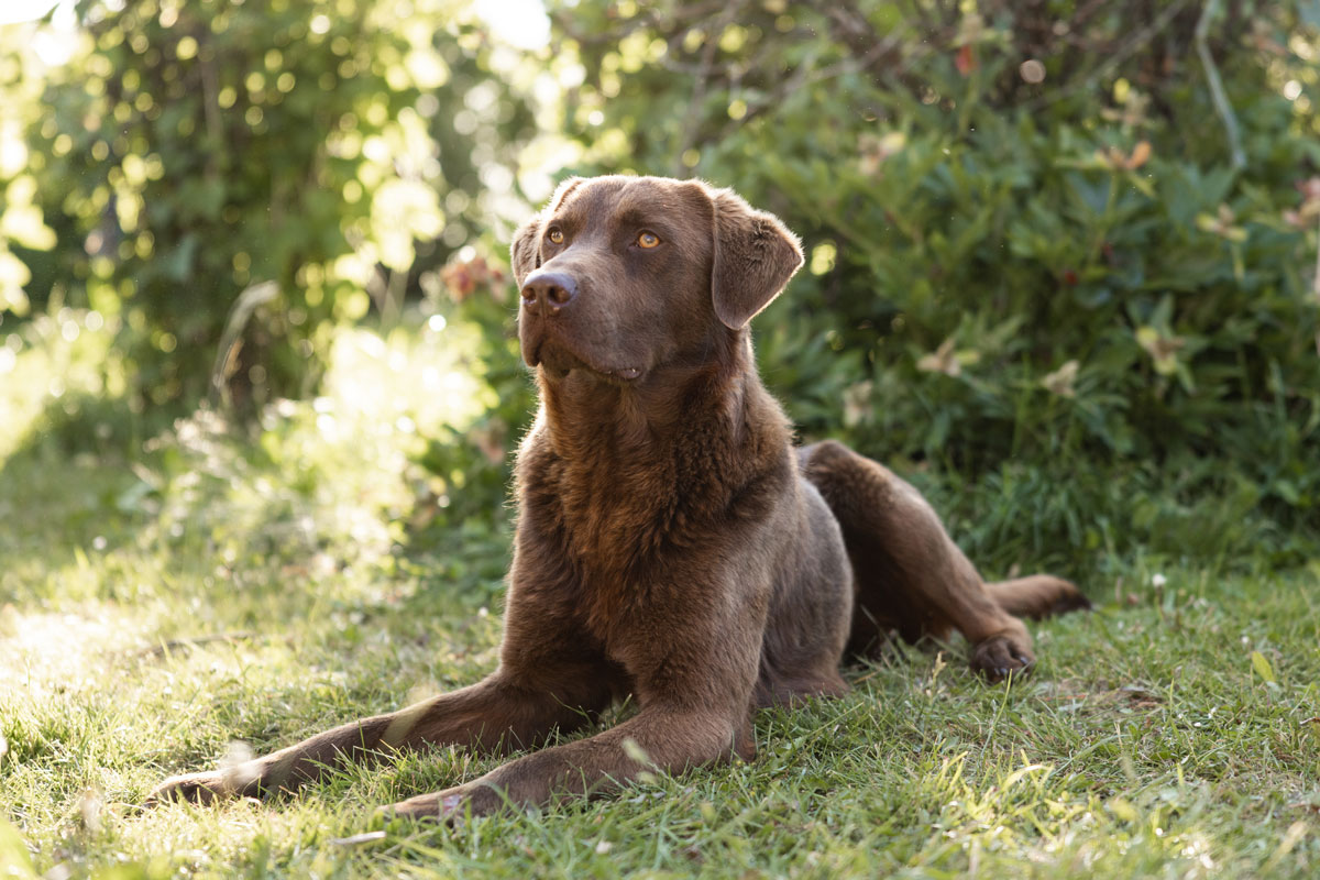 Ratgeber: Abenteuer im Garten unser Fazit Ratgeber: Abenteuer im Garten unser Fazit