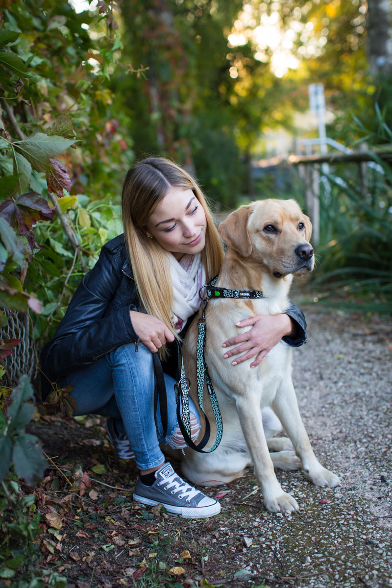 Ratgeber Hund – Hundefreundliche Unterkunft Reisen mit Hund