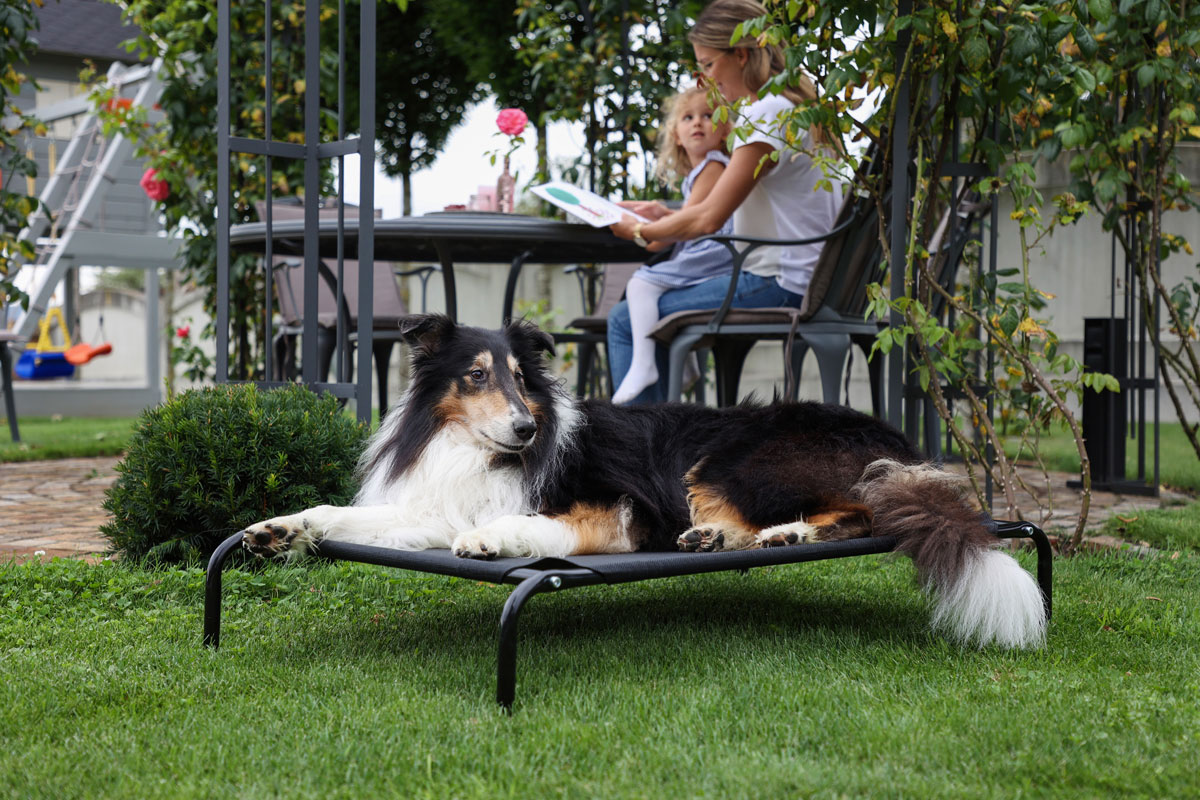 Ratgeber Hund – Hundeliege Vacation Komfortable Liege