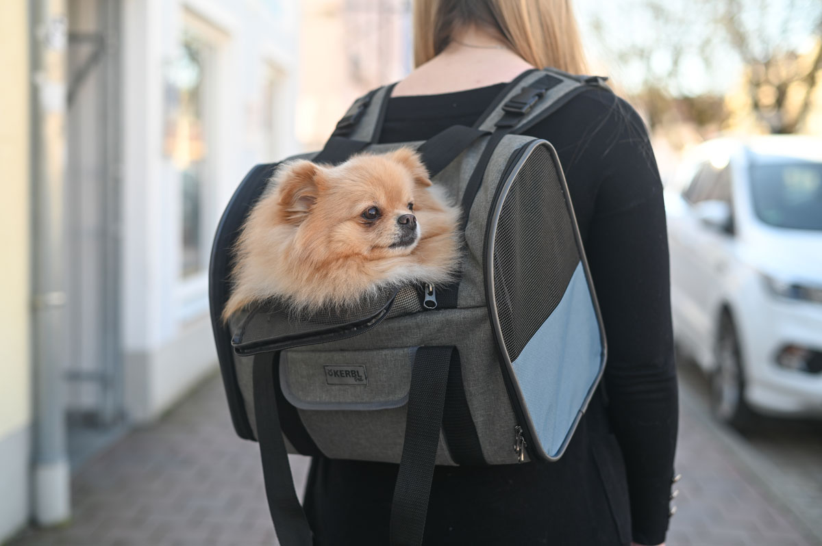 Ratgeber Hund – Transporttasche Reisen mit Hund - Transporttaschen