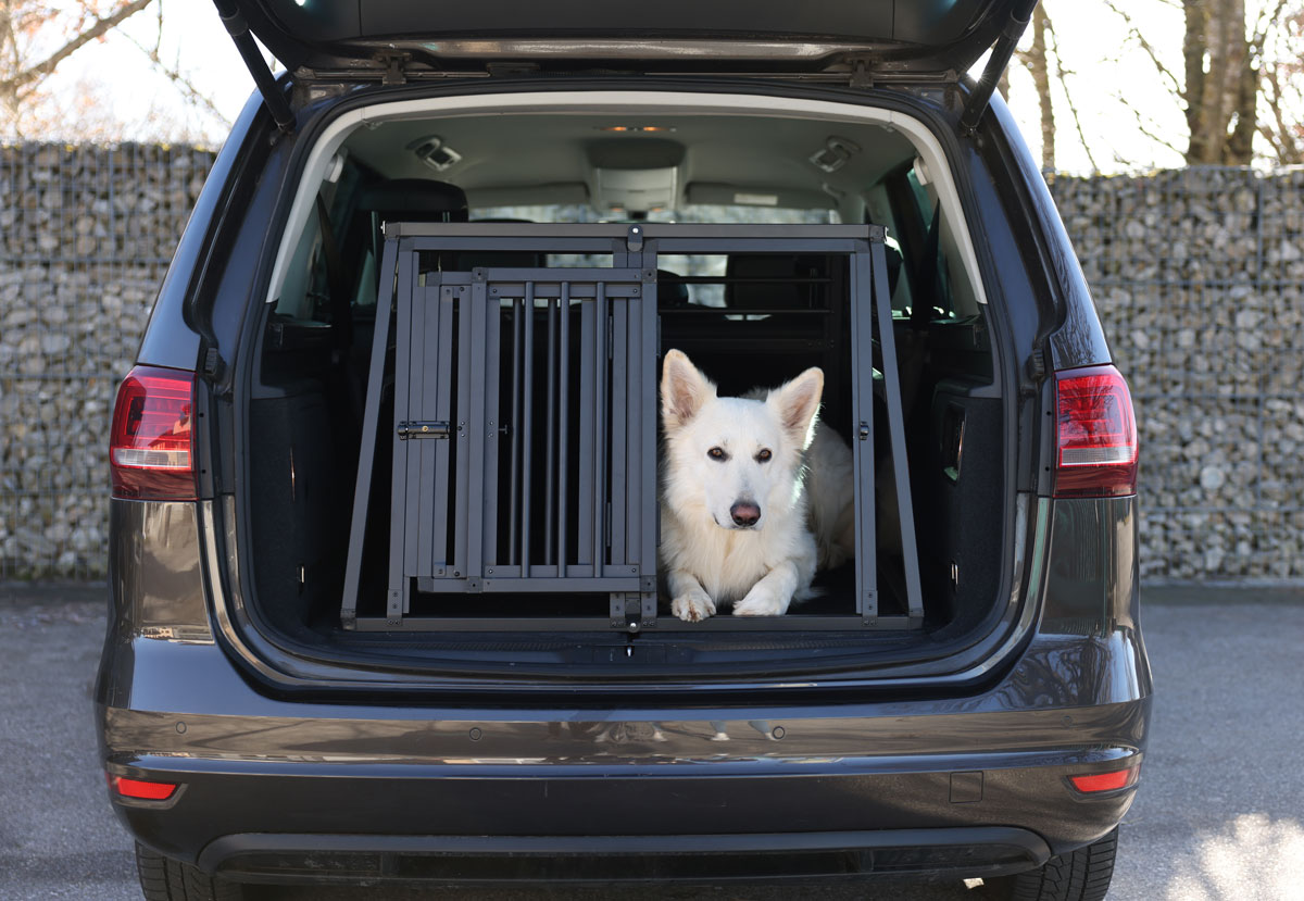 Ratgeber Hund – Alu-Transportbox für den Urlaub Reisen mit Hund - Transport im Auto