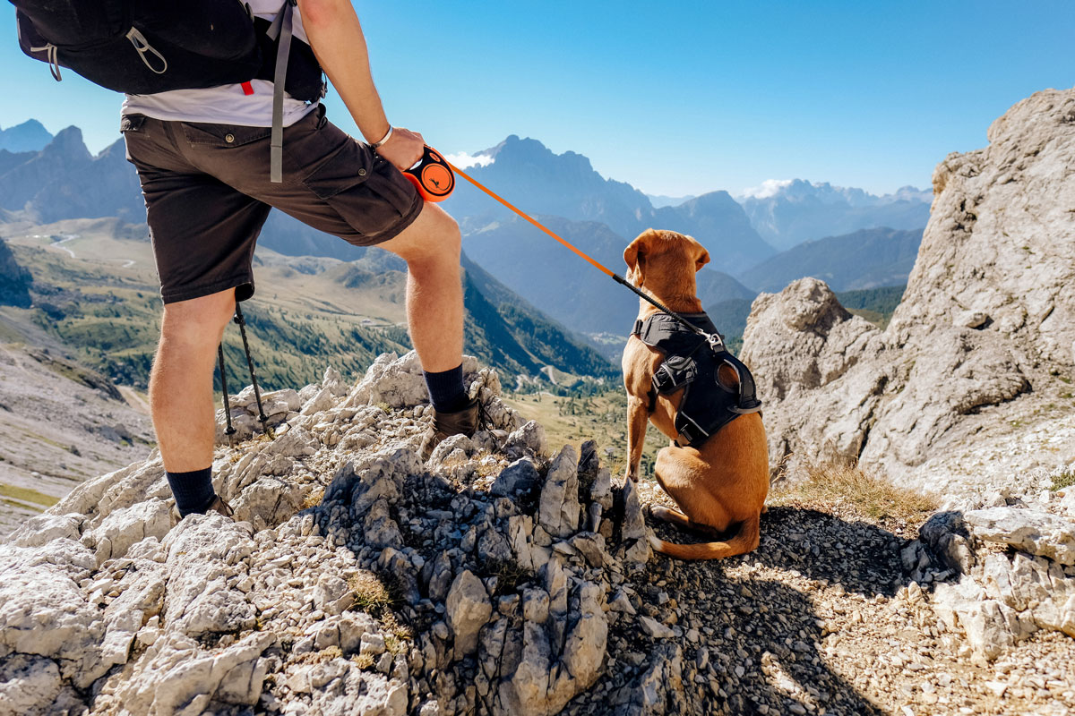Ratgeber Hund – Urlaub mit Hund Verhaltensregeln und Rücksichtnahme