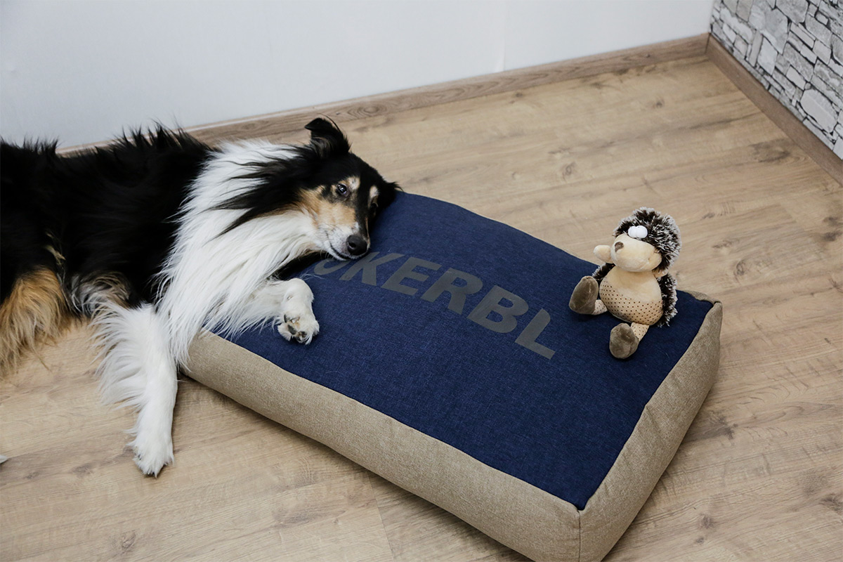hund-sitzkissen Wohltuende Massage für einen Seniorenhund