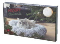 Adventskalender für Katzen