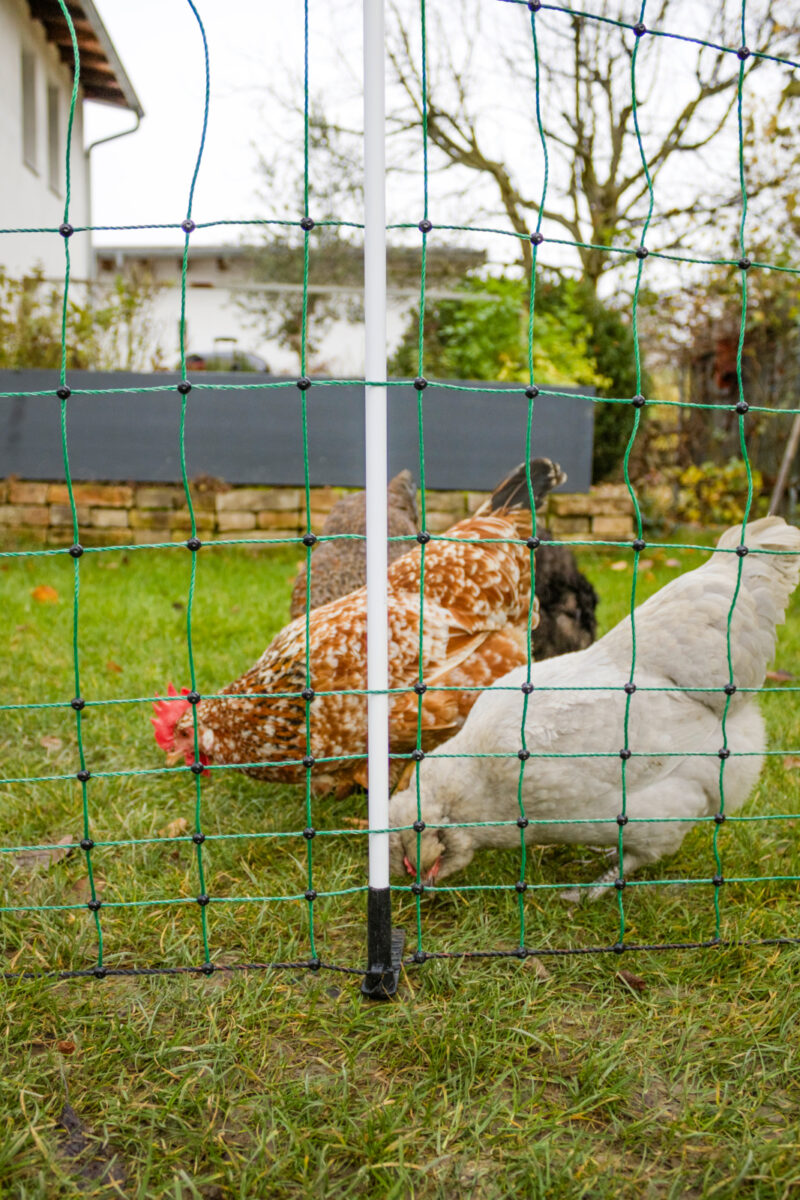AKO PoultryNet Maxi