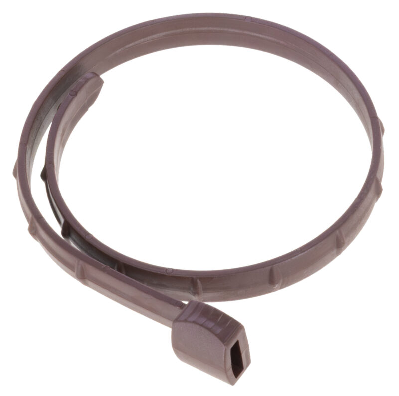 Bug Collar for Cats
