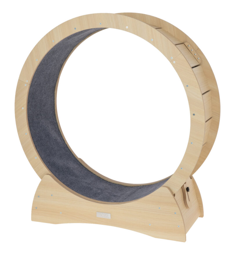 Cat exercise wheel