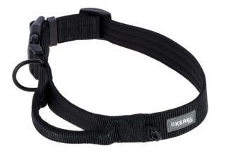 Collier pour chien Dallas