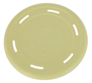 Frisbee