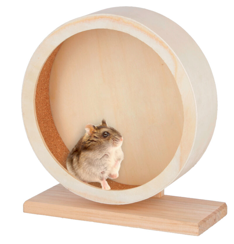 Hamsterlaufrad