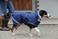 Hundemantel Freedom