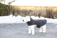 Hundemantel Montreal
