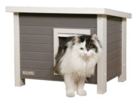 Katzenhaus Eli