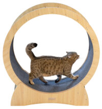 Katzenlaufrad