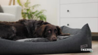 Liegekissen Platin Ortho