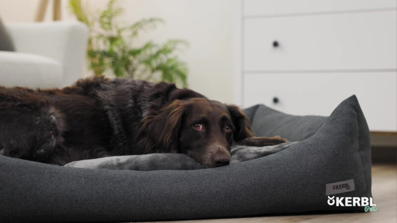 Liegekissen Platin Ortho