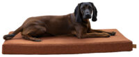 Memory-Foam Matratze Oliver