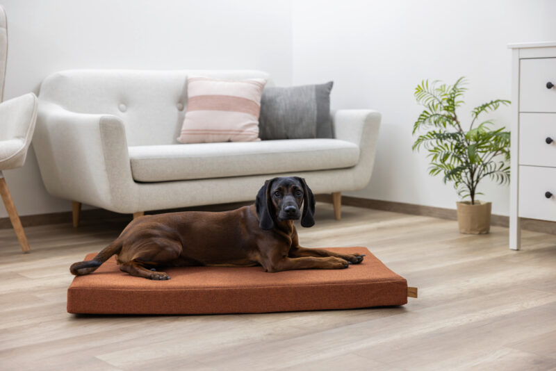 Memory-Foam Matratze Oliver