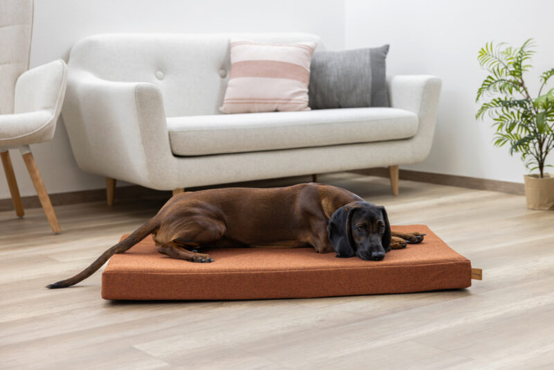 Memory-Foam Matratze Oliver