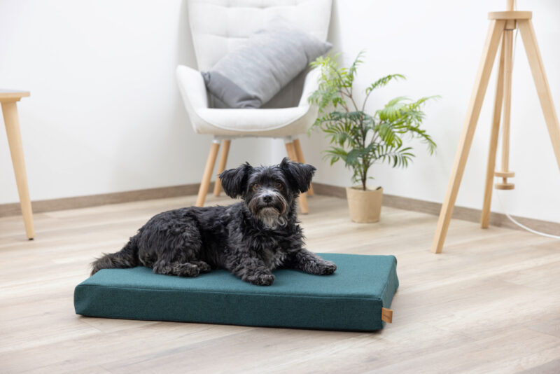 Memory-Foam Matratze Oliver
