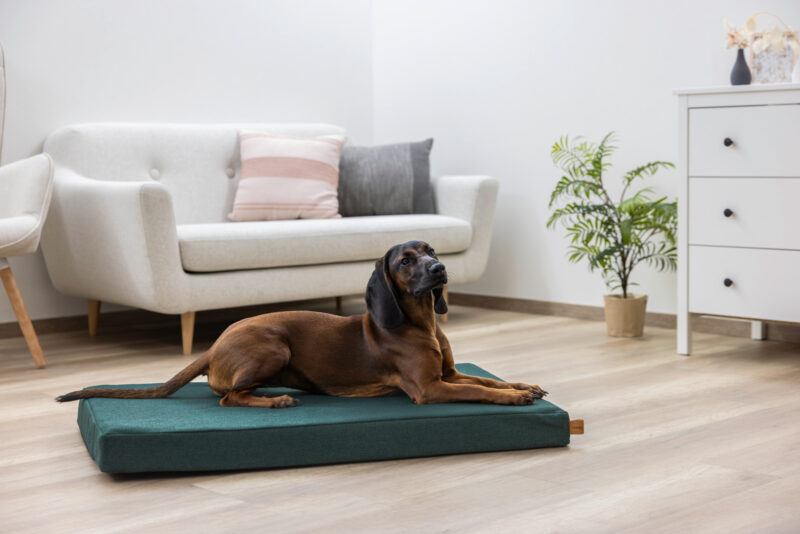 Memory-Foam Matratze Oliver