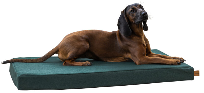 Memory-Foam Matratze Oliver