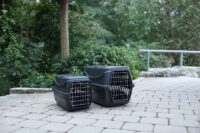 Transportbox Expedion