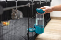 Wasserspender